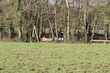 F3889D8B-3F84-4C4C-8D09-F93A98884E4F.jpg