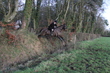 A2E2DB62.jpg