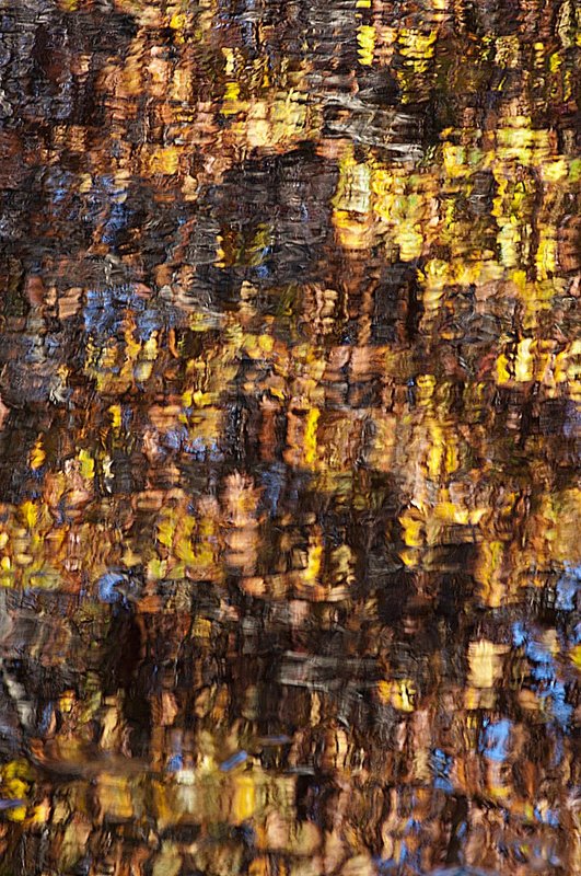 Abstracted Fall Colors Brown County Indiana 77246-1s.jpg
