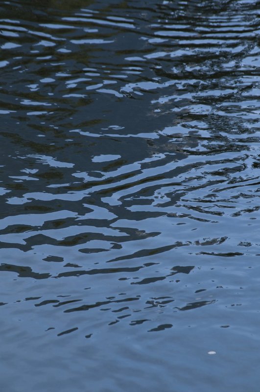 Blue Water Pattern Merced River Yosemite NP (YO-705931).jpg