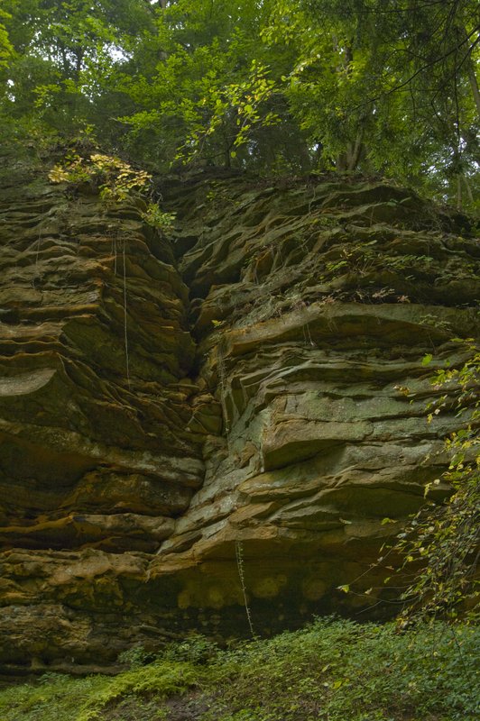 Cliffs Shades State Park Montgomery County Indiana.jpg