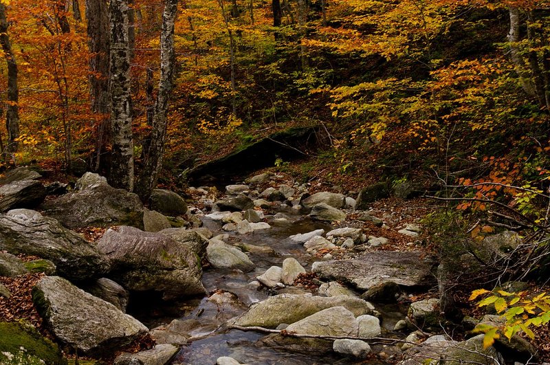 Creek and Boulders Smugglers Notch Vermont (VT-74957).jpg