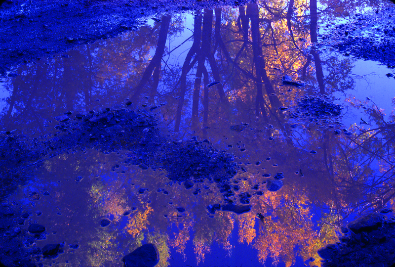 DCO-1008 Puddles San Juans(1).jpg