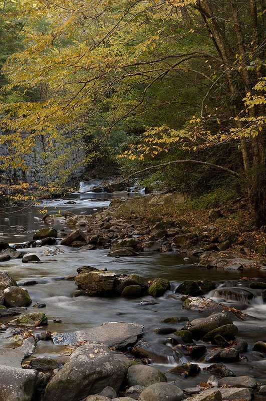 Fall Little River Great Smokies NP (GS-75947).jpg