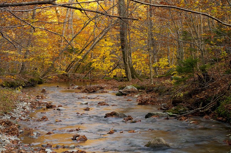 Fall Unnamed Creek Smugglers Notch Vermont (VT-74864).jpg