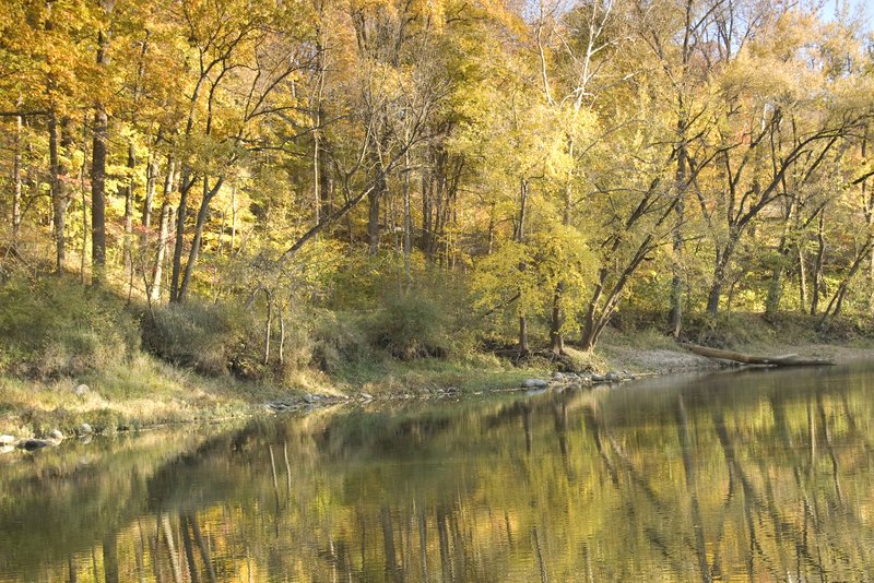 Fall on Wildcat Creek Lafayette, Indiana (DIN-2928).jpg