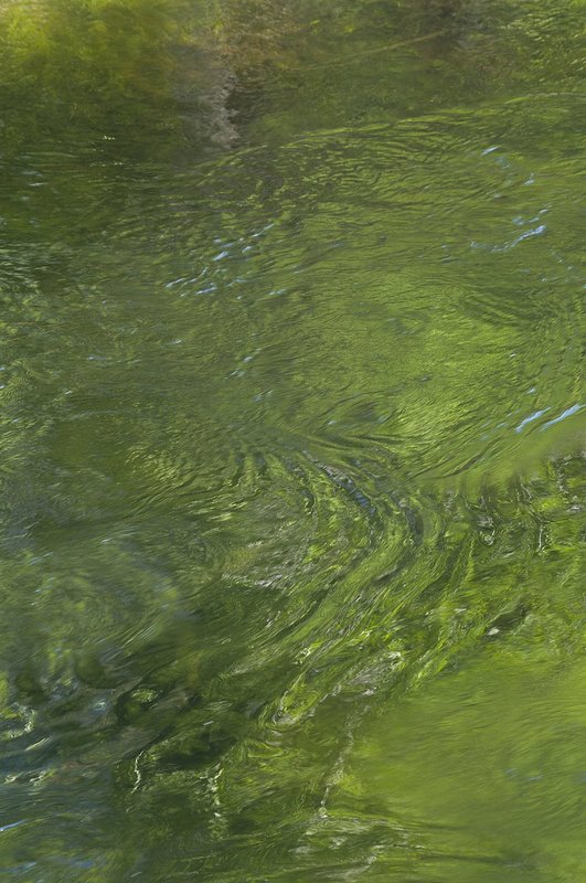 Green Water Pattern Merced River Yosemite NP (YO-705981).jpg