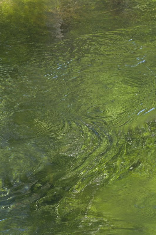Green Water Pattern Merced River Yosemite NP (YO-70598n).jpg
