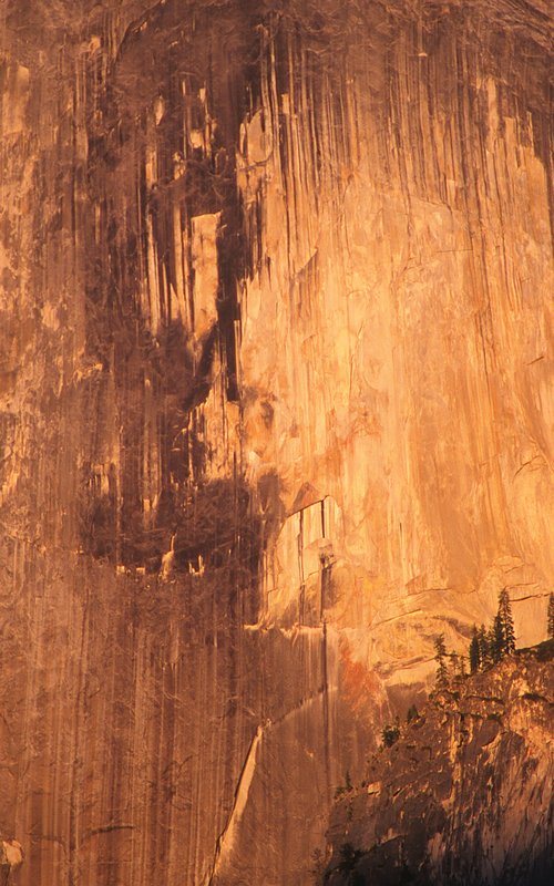 Half Dome Details Yosemite National Park YO-0423.jpg