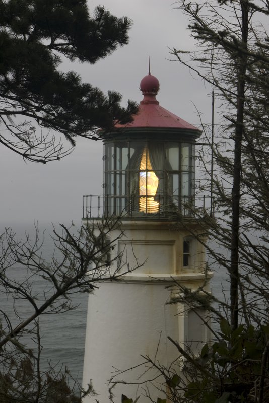 Hecata Head Lighthouse Oregon 3608.jpg