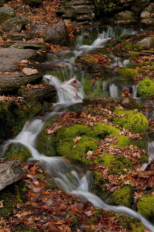 Hillside Waterfall Smugglers Notch Vermont (VT-74888).jpg