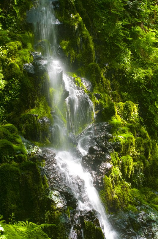 Little Yachats Falls 3854.jpg