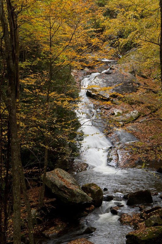 Lynn Prong Cascade Great Smokies NP (GS-76312).jpg