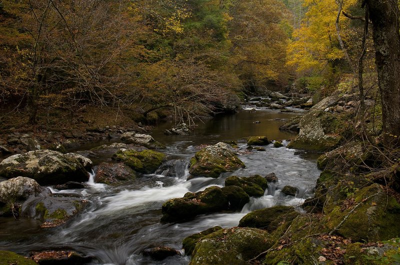 Lynn Prong Creek Great Smokies NP (GS-76286).jpg