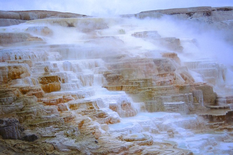 Mammoth Hot Springs Yellowstone National Park (YE-0192).jpg