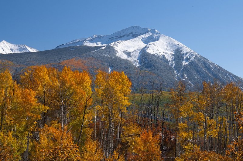 Marcellina Mountain Fall Kebler Pass Colorado (CO-74759).jpg