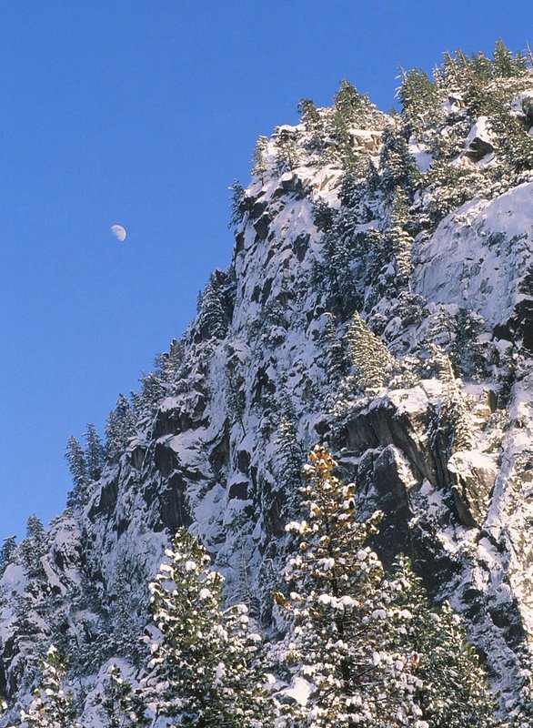 Moon and cliffs Yosemite.jpg