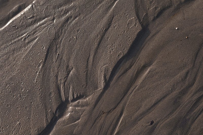 Mud Patterns Point Reyes California 75119-1.jpg