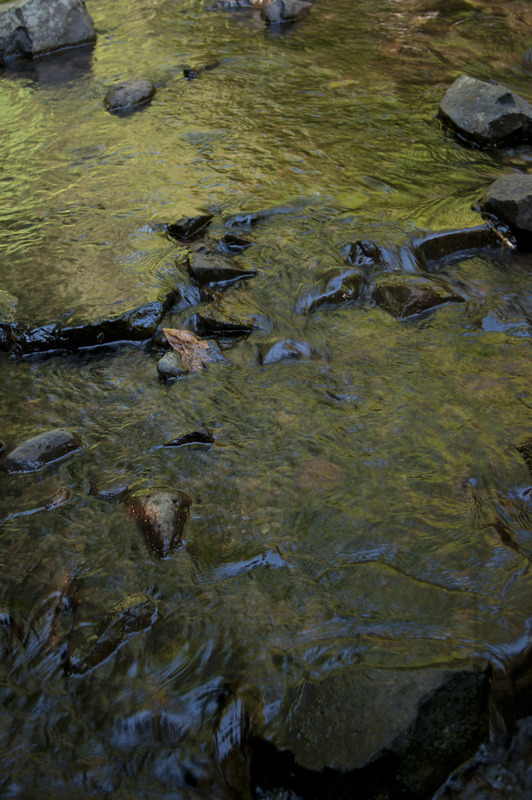 Munson Creek Oregon 8436(1).jpg
