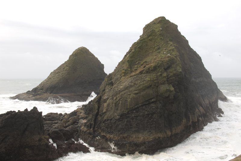 Offshore Rocks Hecata Head Oregon 3590.jpg