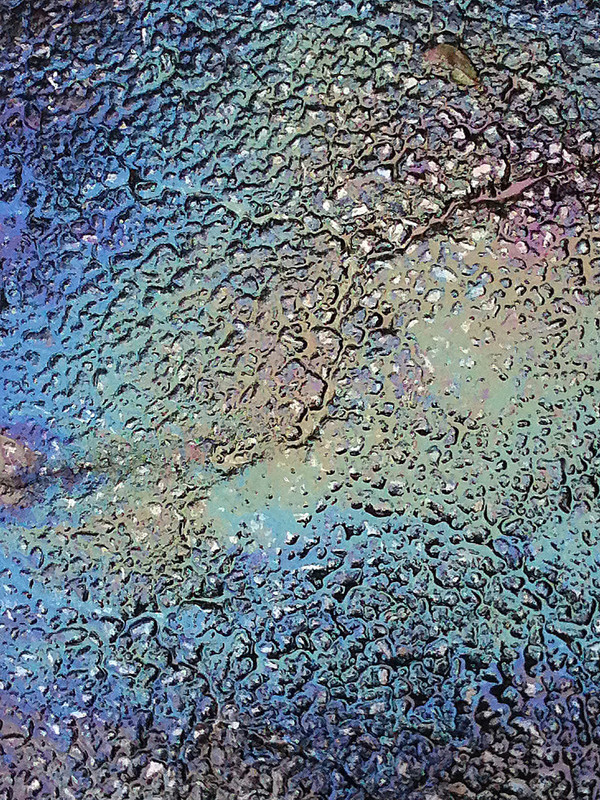 Oily Pavement 7(1).jpg