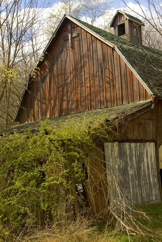 Old Overgrown Barn Tippecanoe County Indiana.jpg