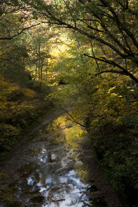 Potholes Gorge Big Pine Creek Warren County Indiana.jpg