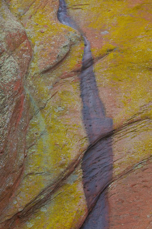 Red Rocks and Water Stains Red Rocks Park Colorado IMGP0393.jpg