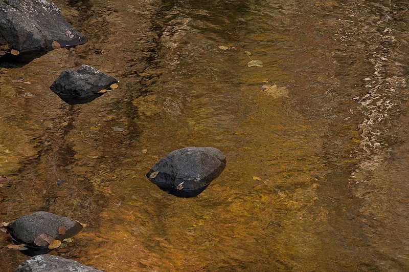 Rocks and Reflections Little River Great Smokies NP 75927n).jpg