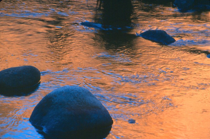 Rocks red . gold reflections Yosemite NP.jpg