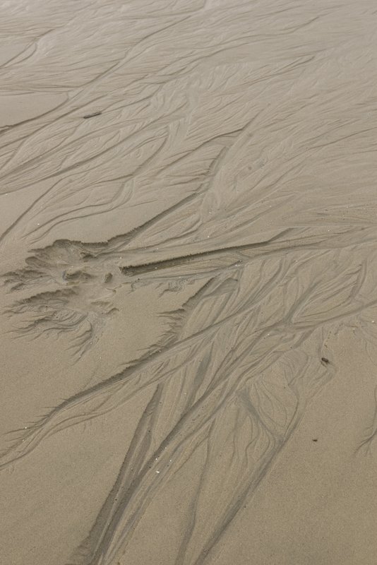 Sand Patterns Neptune Beach Oregon3570.jpg