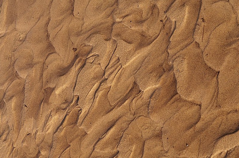 Sand Patterns Scott Creek Upper Peninsula of Michigan 76351.jpg