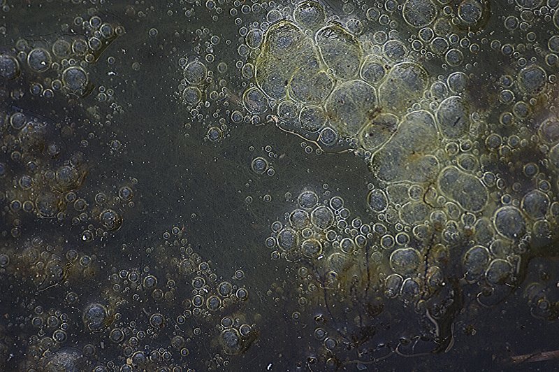 Sea Foam Bubbles 4049-2.jpg