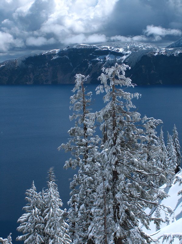 Snow Covered Pines Crater Lake Oregon HPIM0469.jpg