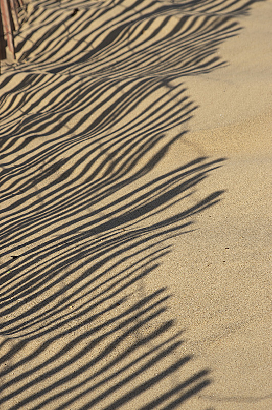 Snow Fence Shadows Oval Beach Saugatuck MI 9839(1).jpg