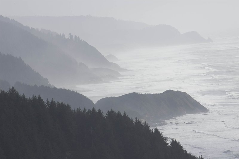 Stormy Coast in fog 3540.jpg