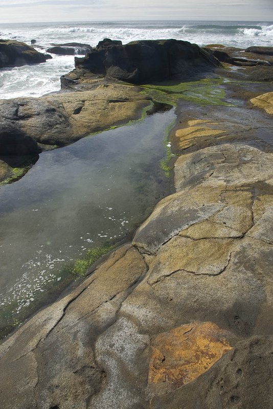 Tidepool Yachats Oregon.jpg