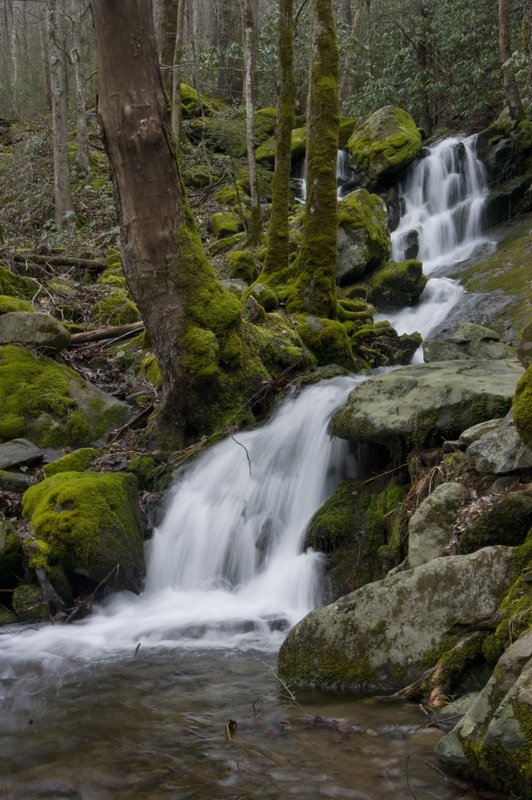 Waterfall Great Smokies National Park (GS-6364).jpg
