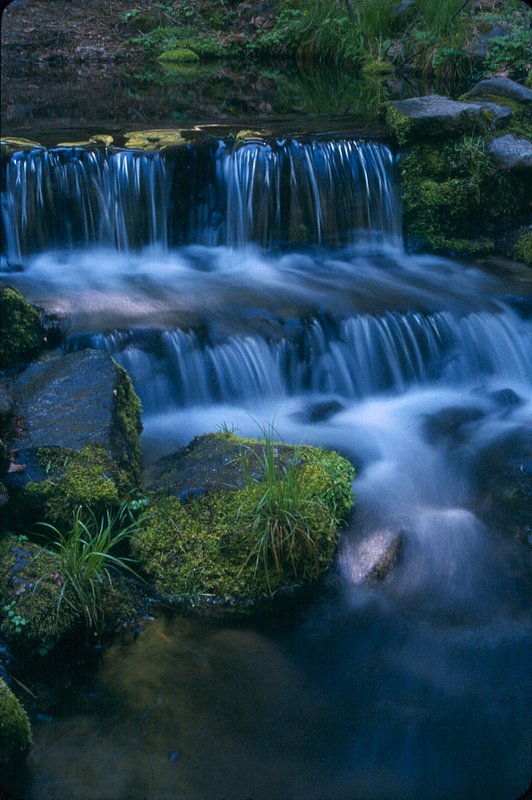 Waterfall. Fern Pool Yosemite NP.jpg