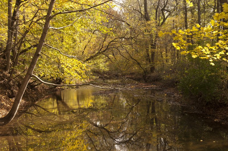 Wea Creek Tippecanoe County (74206).jpg
