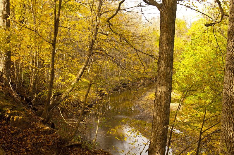 Wea Creek Tippecanoe County Indiana IN-74223.jpg