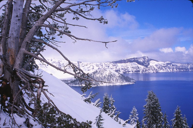 Wizard Is  Crater Lake Oregon.jpg :: Wizard Island and Crater Lake, Oregon.jpg