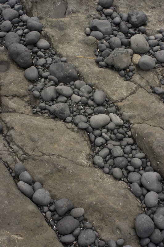 rock Patterns Cobble Beach 4720.jpg