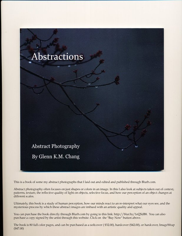 Abstractions Cover copy.jpg