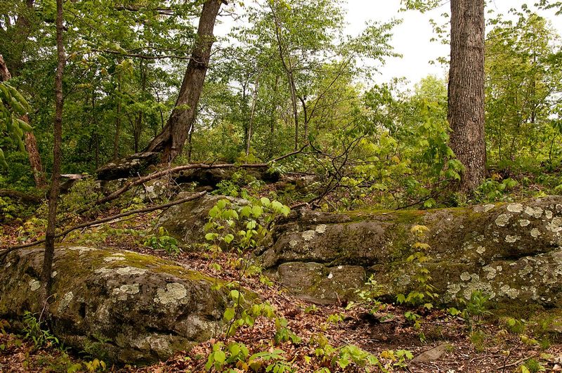 Black Rock Preserve NBP_0223.jpg