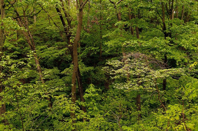 Black Rock Preserve NBP_0227.jpg