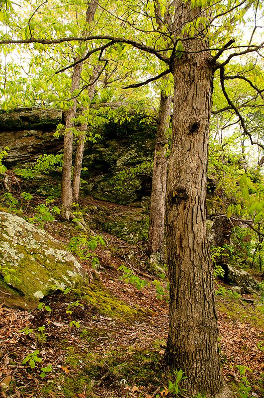 Black Rock Preserve NBP_0232.jpg