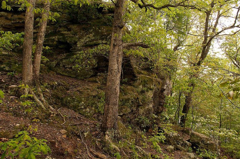 Black Rock Preserve NBP_0234.jpg