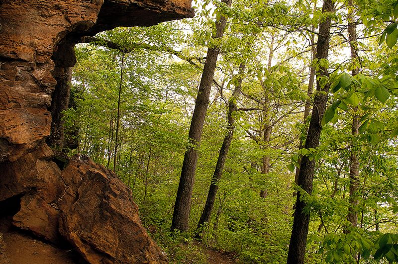 Black Rock Preserve NBP_0315.jpg