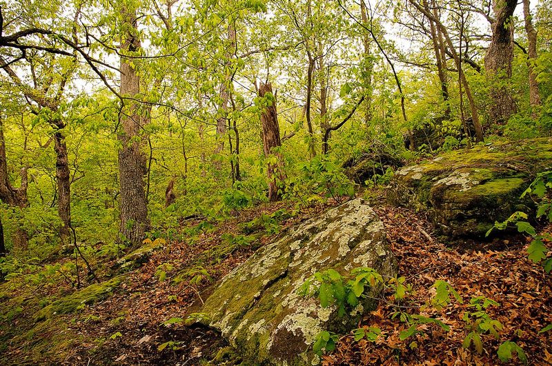 Black Rock Preserve NBP_0317.jpg